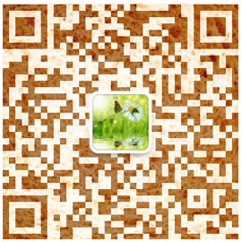 微信公眾號